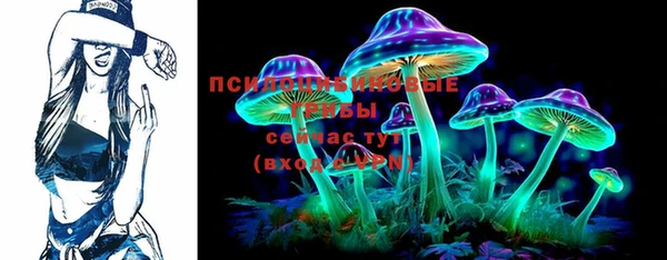 стафф Кулебаки